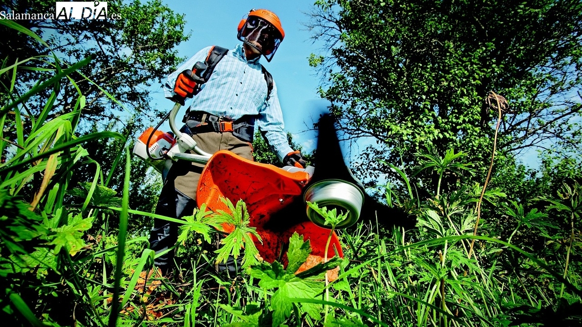 Taller de empleo de jardinería en Villavieja de Yeltes