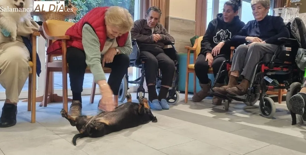 Foto 6 - Perros terap&eacute;uticos en Gerialba por San Ant&oacute;n