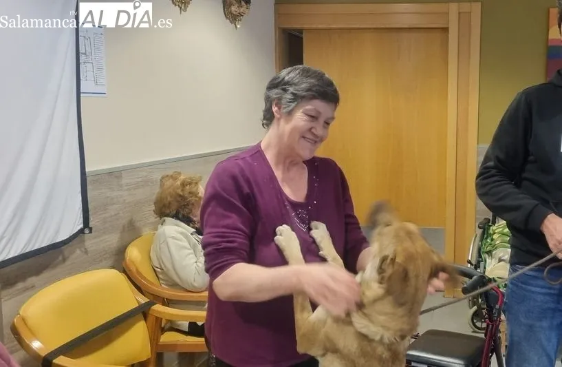 Foto 5 - Perros terap&eacute;uticos en Gerialba por San Ant&oacute;n