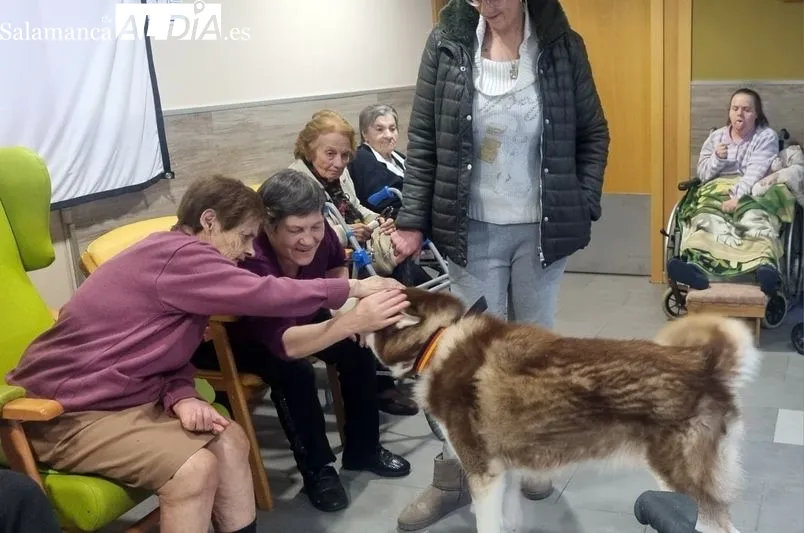 Foto 4 - Perros terap&eacute;uticos en Gerialba por San Ant&oacute;n