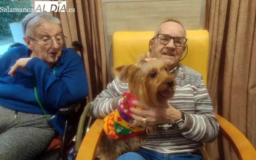 Foto 2 - Perros terap&eacute;uticos en Gerialba por San Ant&oacute;n