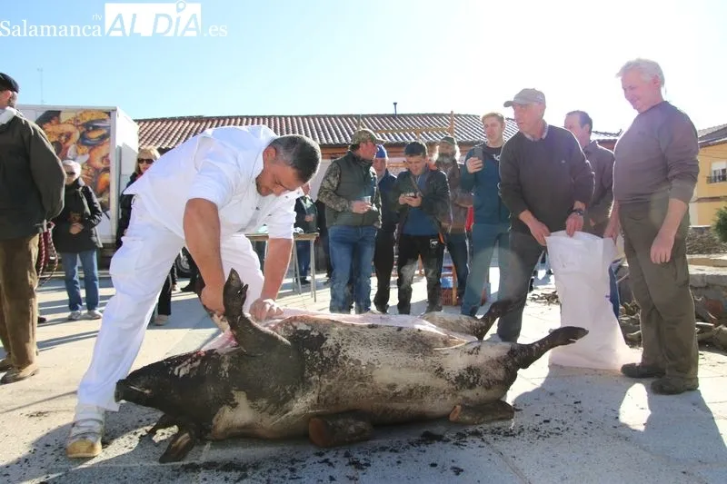 Foto 5 - Galinduste celebra el valor del cerdo y de la cultura de la matanza&nbsp;