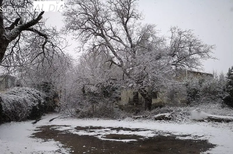 Foto 2 - Alerta por nieve y heladas generalizadas: as&iacute; ser&aacute; el tiempo este fin de semana en la provincia