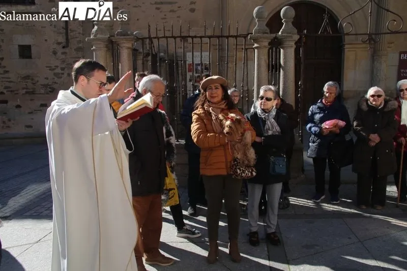Foto 5 - Alba de Tormes celebra San Ant&oacute;n en la Plaza de Santa Teresa
