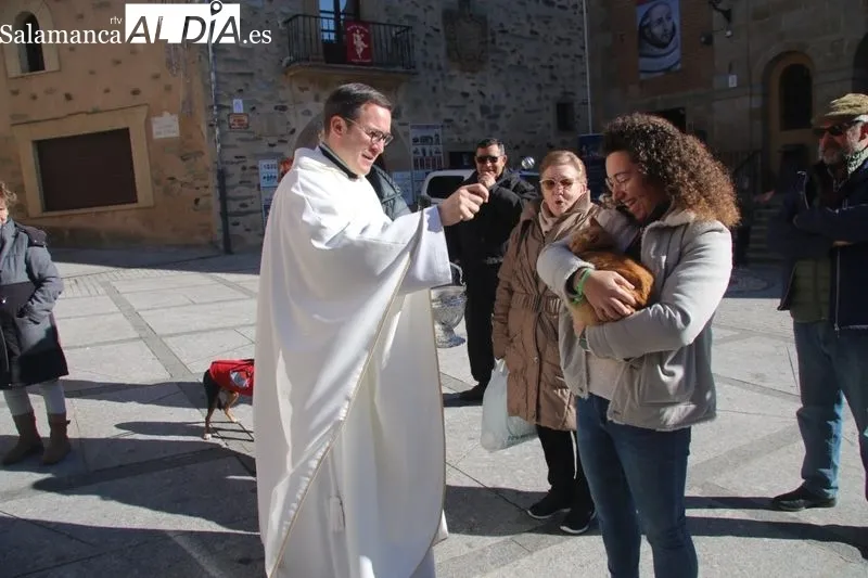 Foto 4 - Alba de Tormes celebra San Ant&oacute;n en la Plaza de Santa Teresa