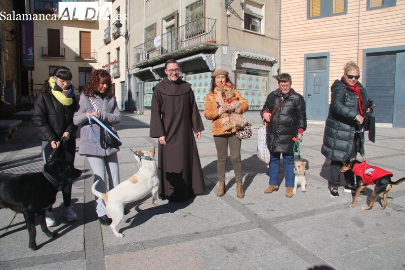 Alba de Tormes celebra San Antón en la Plaza de Santa Teresa