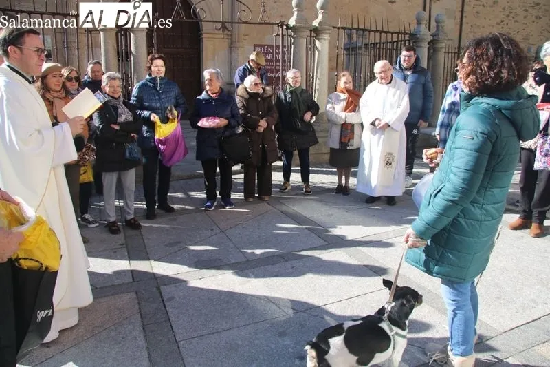 Foto 3 - Alba de Tormes celebra San Ant&oacute;n en la Plaza de Santa Teresa