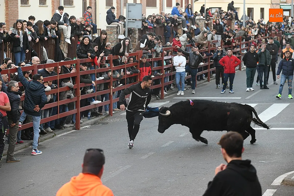 Foto 11 - Triguero y Jilguero protagonizan ante miles de personas un calmado calentamiento taurino para el Carnaval