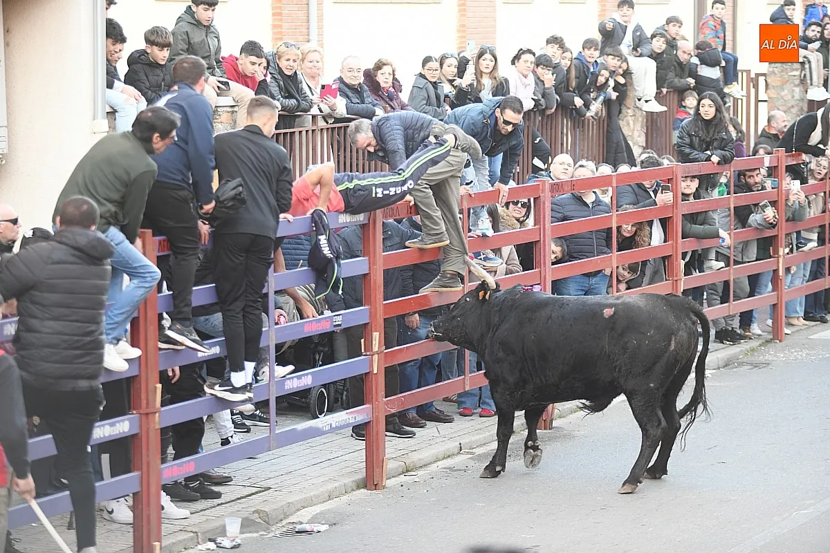 Foto 8 - Triguero y Jilguero protagonizan ante miles de personas un calmado calentamiento taurino para el Carnaval