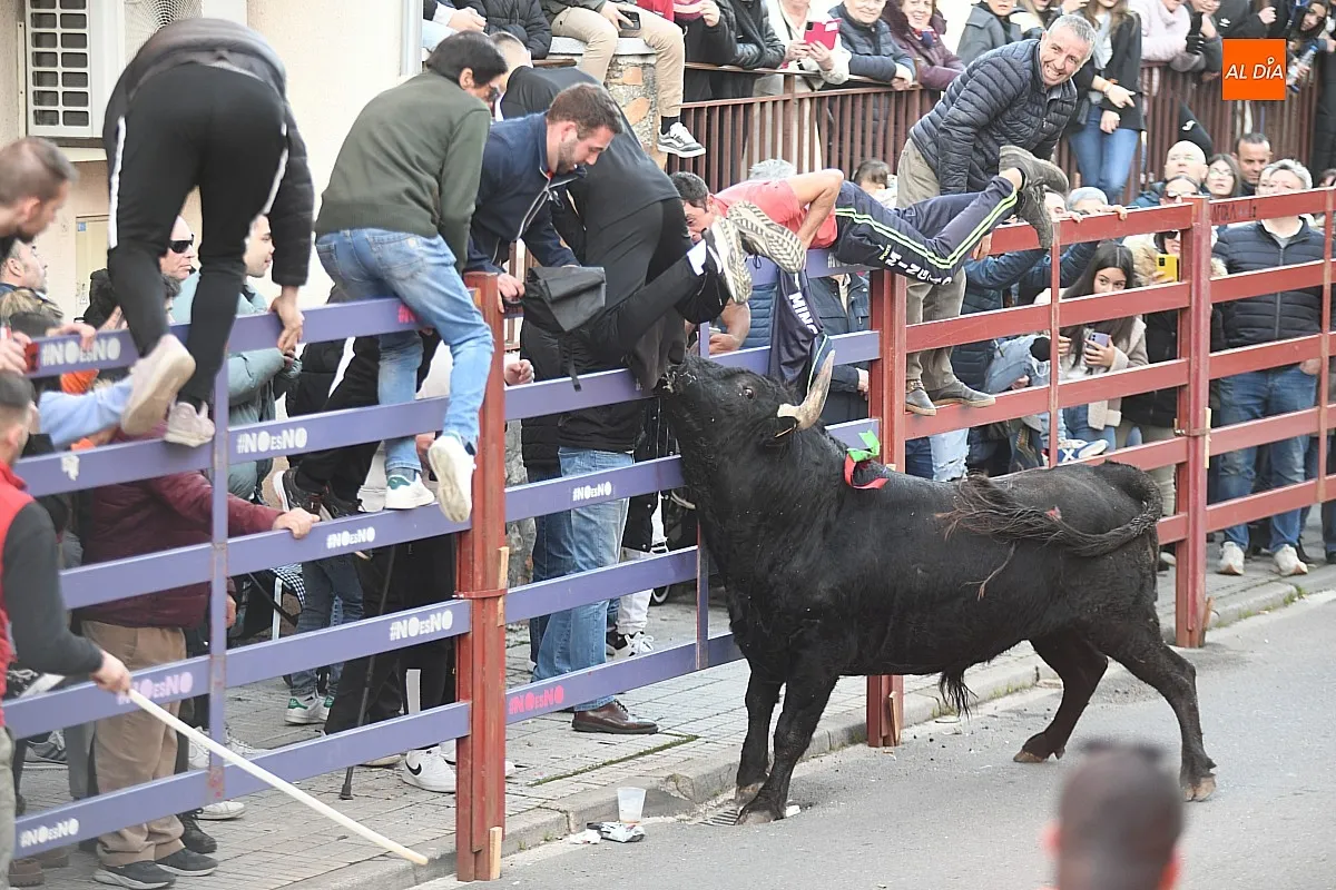 Foto 6 - Triguero y Jilguero protagonizan ante miles de personas un calmado calentamiento taurino para el Carnaval