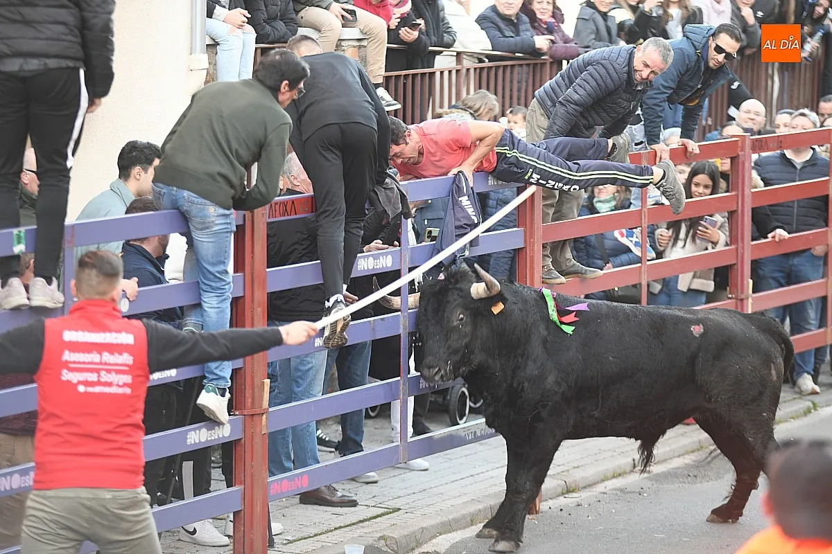 Foto 5 - Triguero y Jilguero protagonizan ante miles de personas un calmado calentamiento taurino para el Carnaval