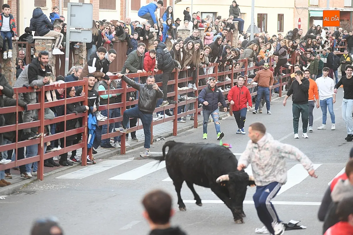 Foto 4 - Triguero y Jilguero protagonizan ante miles de personas un calmado calentamiento taurino para el Carnaval