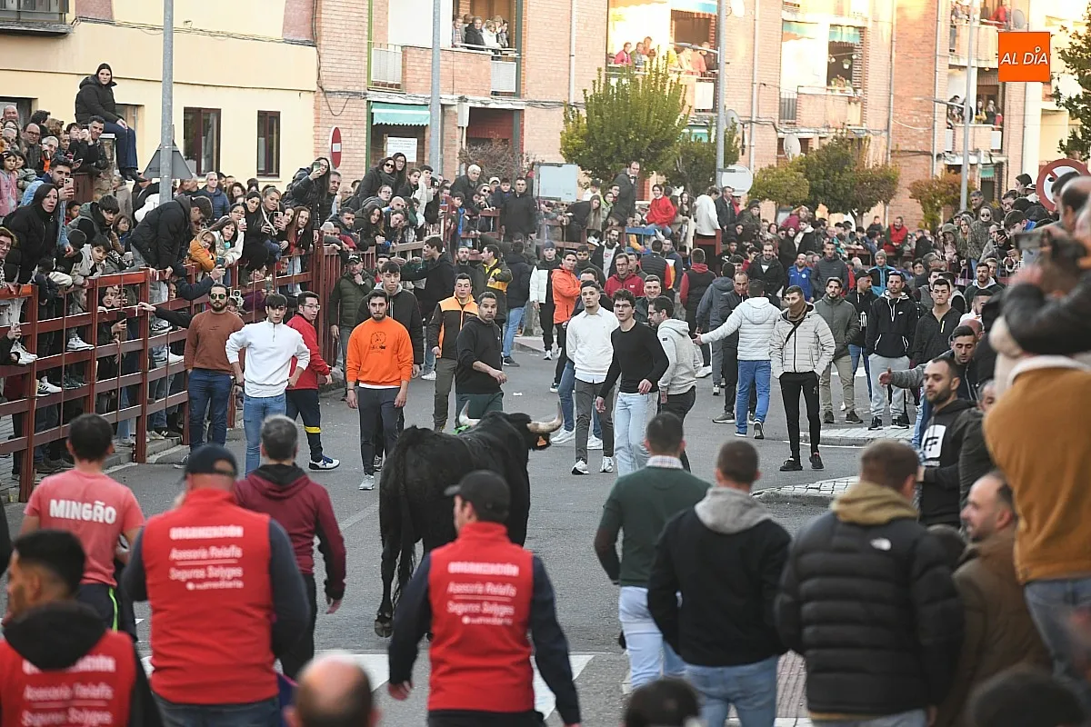 Foto 3 - Triguero y Jilguero protagonizan ante miles de personas un calmado calentamiento taurino para el Carnaval