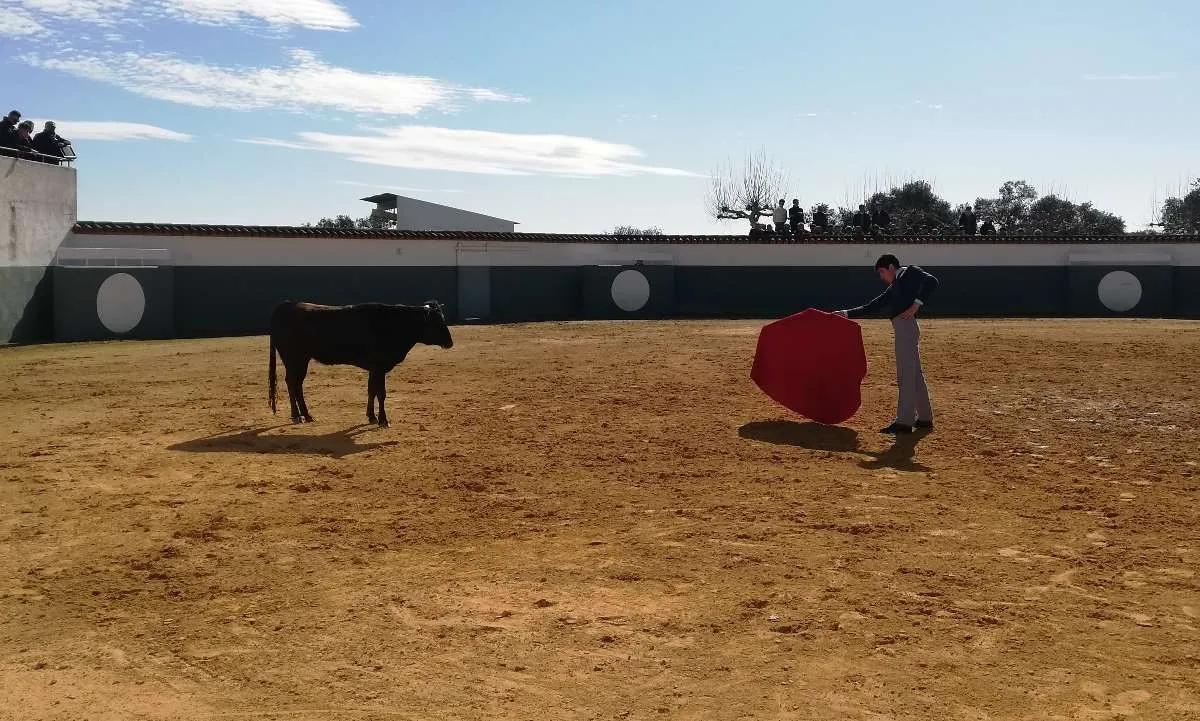 Foto 7 - Gran arranque en M&eacute;rida del Bols&iacute;n 2025 con buen nivel entre los novilleros y excelente ganado