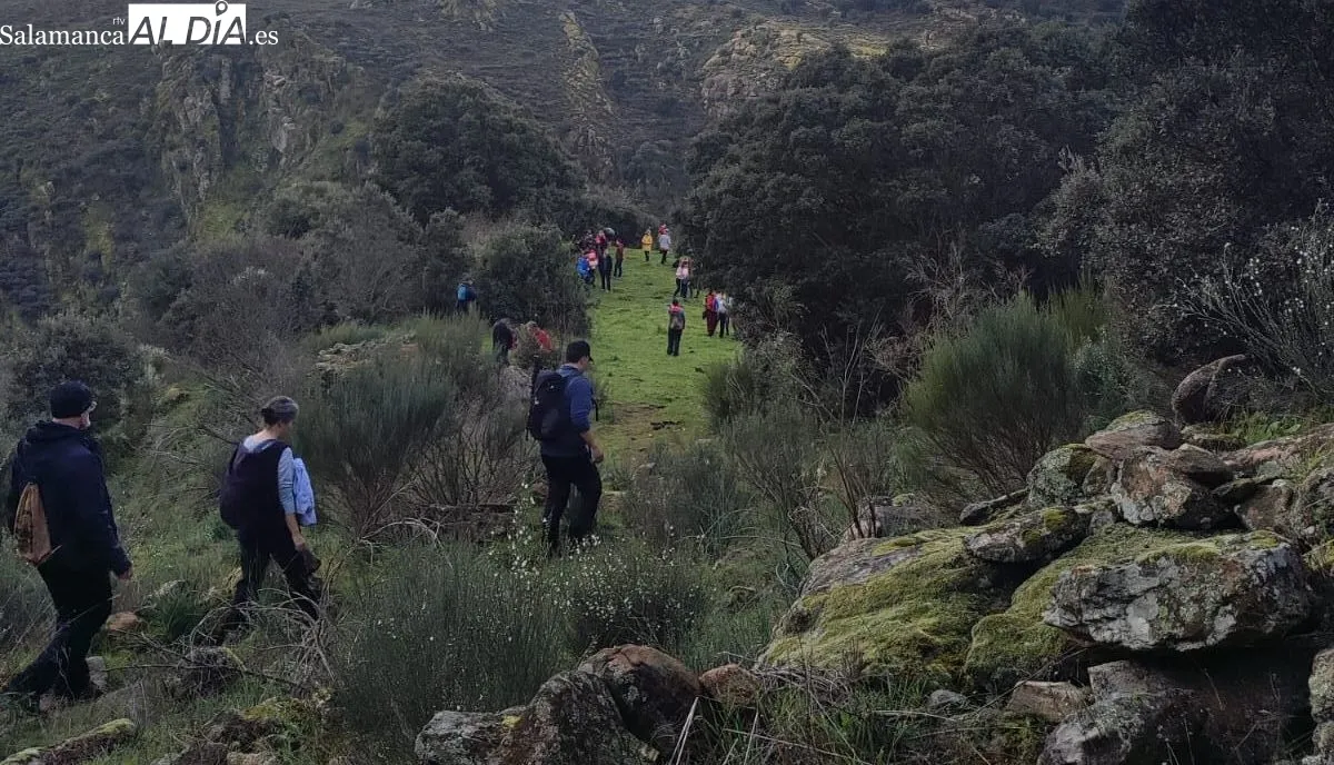 Foto 2 - M&aacute;s de 150 caminantes desaf&iacute;an al mal tiempo participando en la VIII Ruta de Senderismo de Sobradillo