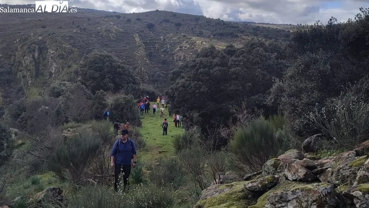 Foto 9 - M&aacute;s de 150 caminantes desaf&iacute;an al mal tiempo participando en la VIII Ruta de Senderismo de Sobradillo