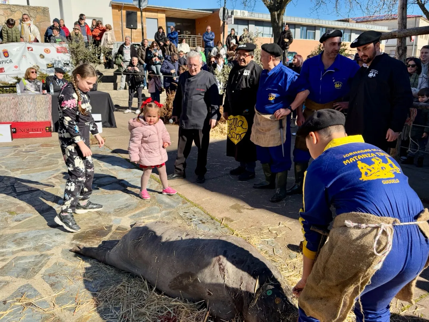 Gran arranque de la 39ª Jornadas de la Matanza Típica de Guijuelo | FOTOS: Ayuntamiento de Guijuelo 
