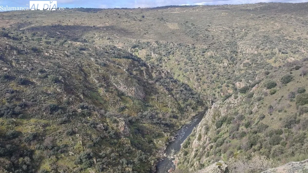 Foto 8 - M&aacute;s de 150 caminantes desaf&iacute;an al mal tiempo participando en la VIII Ruta de Senderismo de Sobradillo
