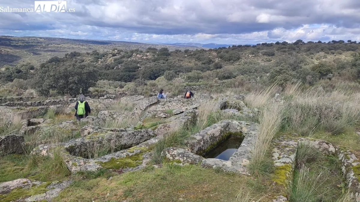 Foto 6 - M&aacute;s de 150 caminantes desaf&iacute;an al mal tiempo participando en la VIII Ruta de Senderismo de Sobradillo