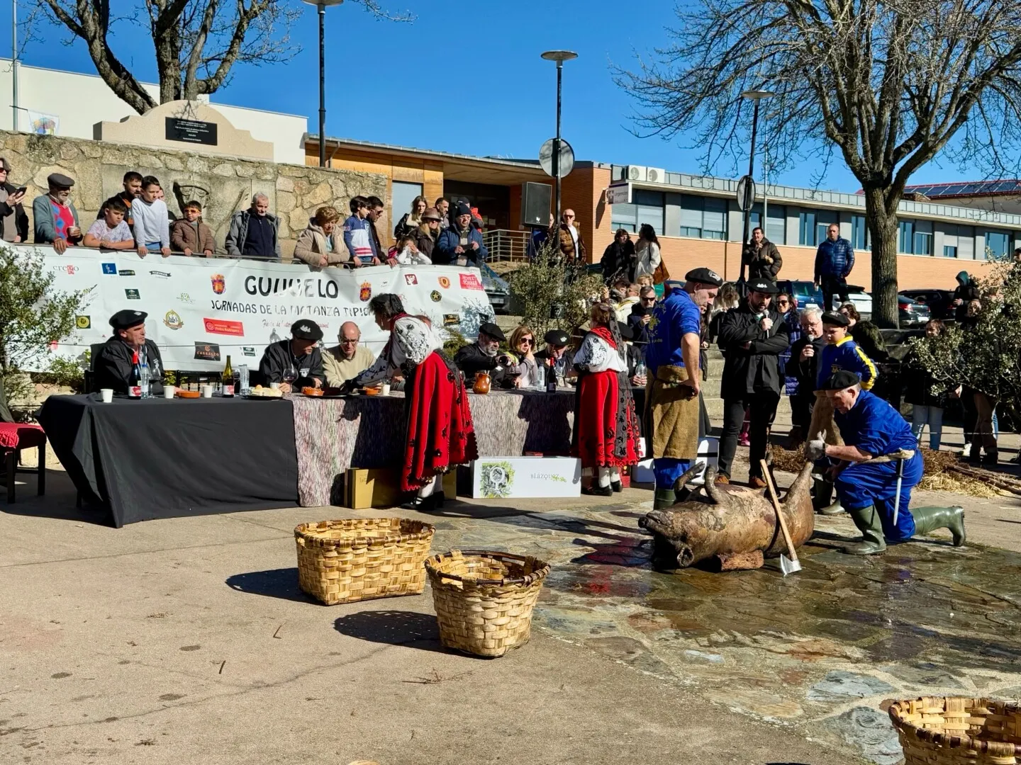 Gran arranque de la 39ª Jornadas de la Matanza Típica de Guijuelo | FOTOS: Ayuntamiento de Guijuelo 