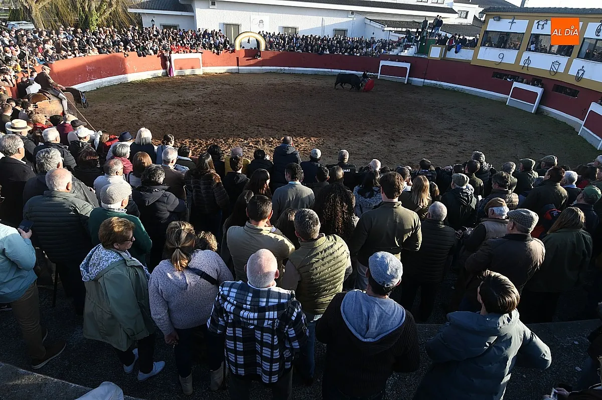 Final Bolsín Taurino año 2025/ Fotos: Adrián M.Pastor
