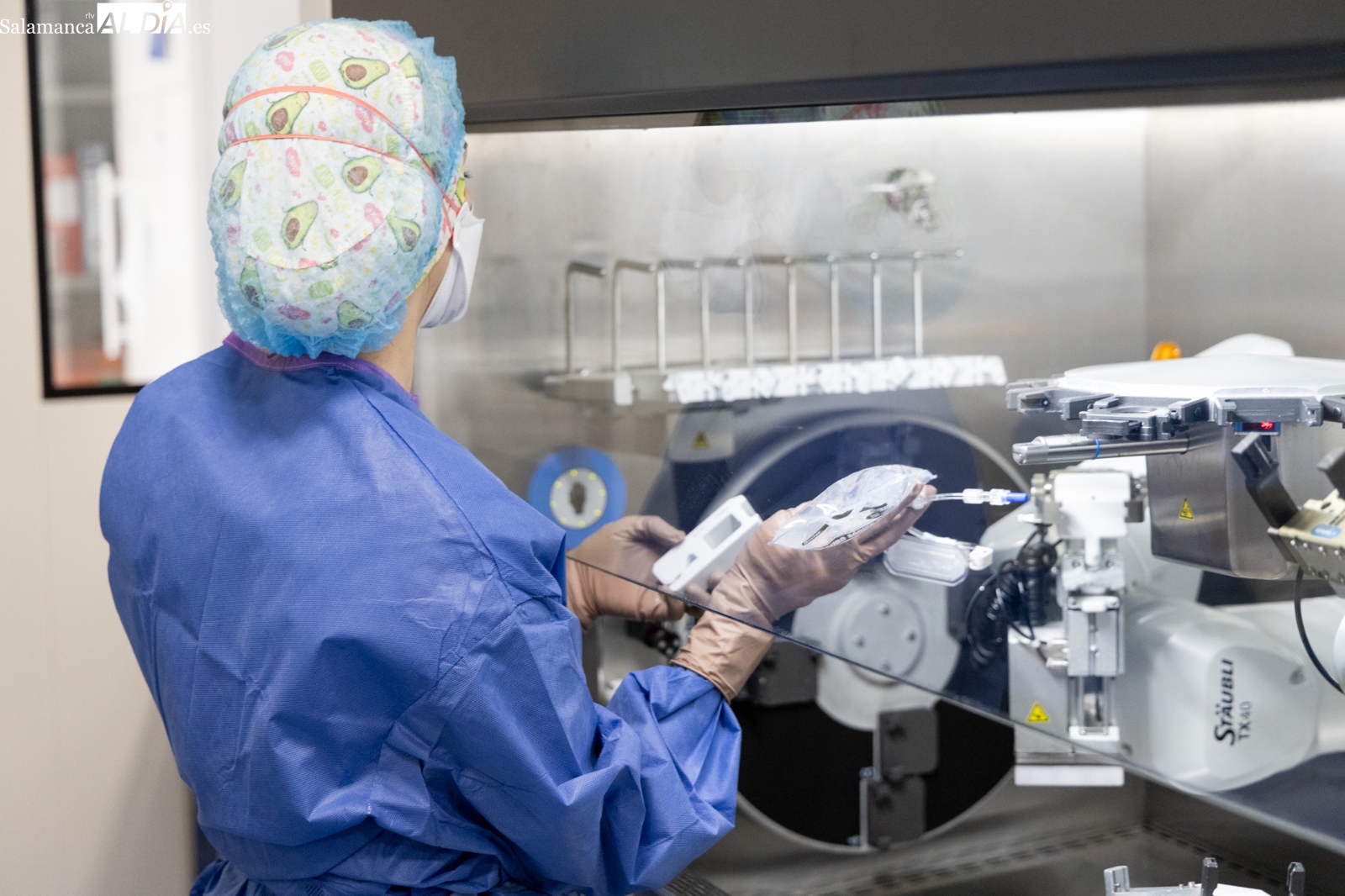 VÍDEO | Así funciona el robot Kiro, paso a paso