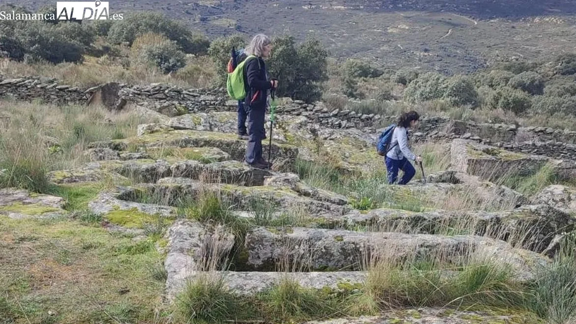 Foto 5 - M&aacute;s de 150 caminantes desaf&iacute;an al mal tiempo participando en la VIII Ruta de Senderismo de Sobradillo