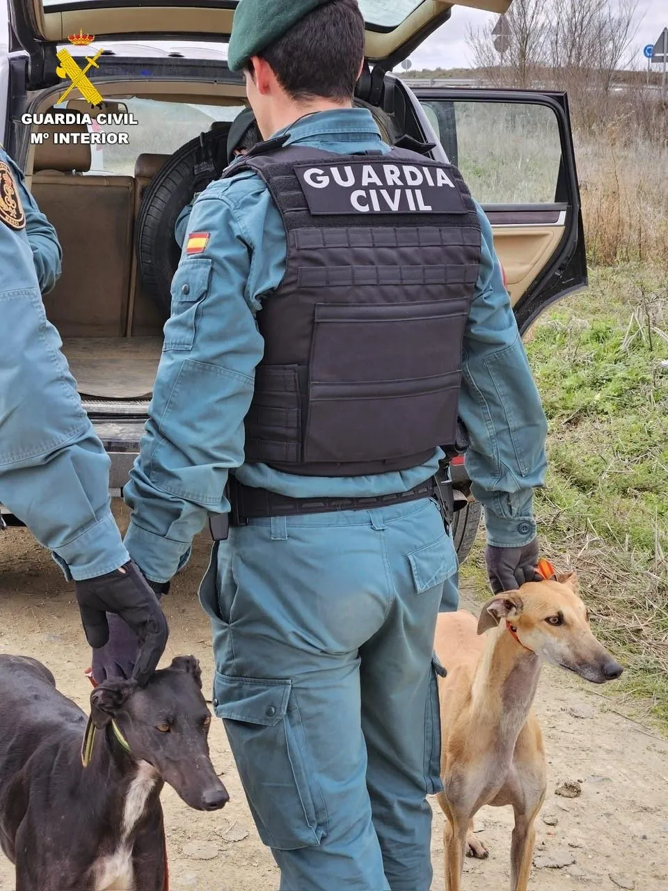 Operación de la Guardia Civil contra la caza furtiva