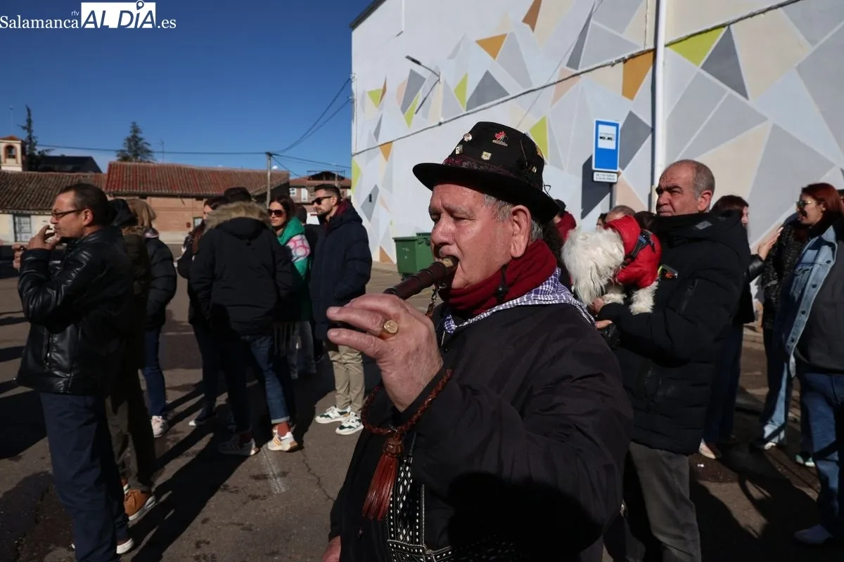 Castellanos de Moriscos celebra la Matanza Tradicional | FOTOS: David Sañudo 