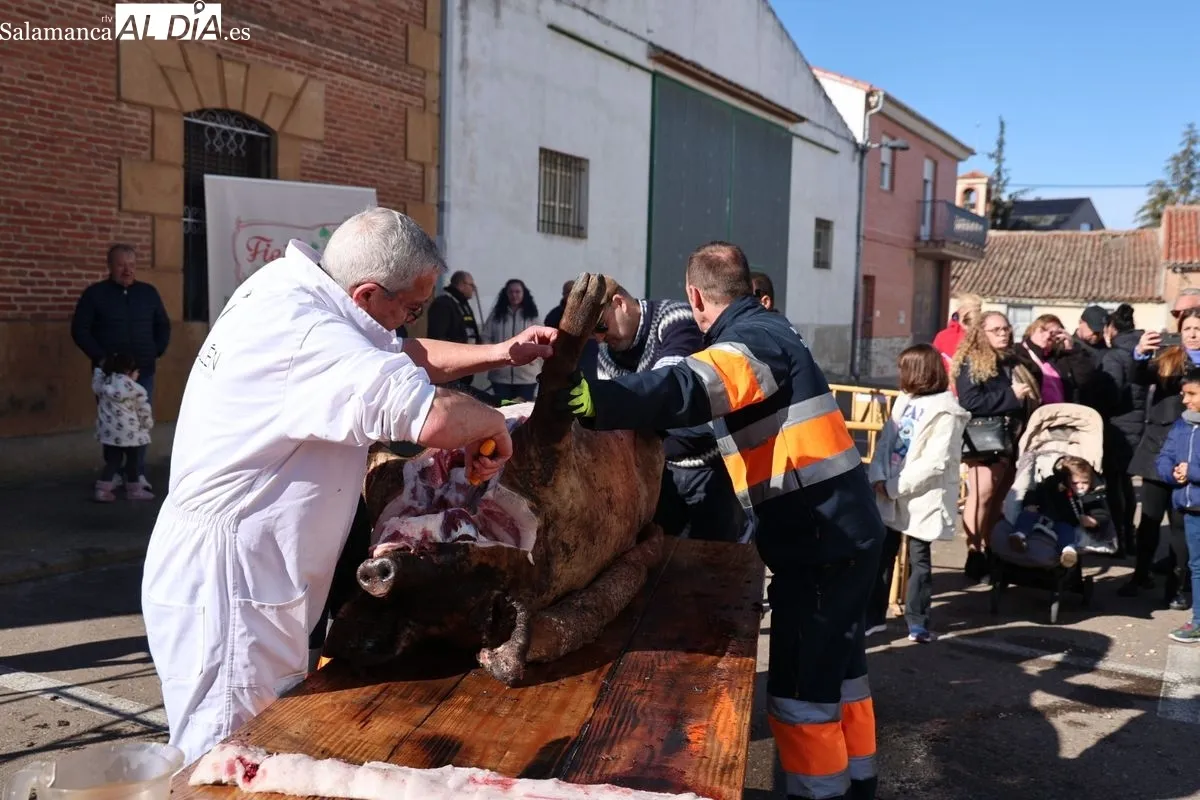 Castellanos de Moriscos celebra la Matanza Tradicional | FOTOS: David Sañudo 