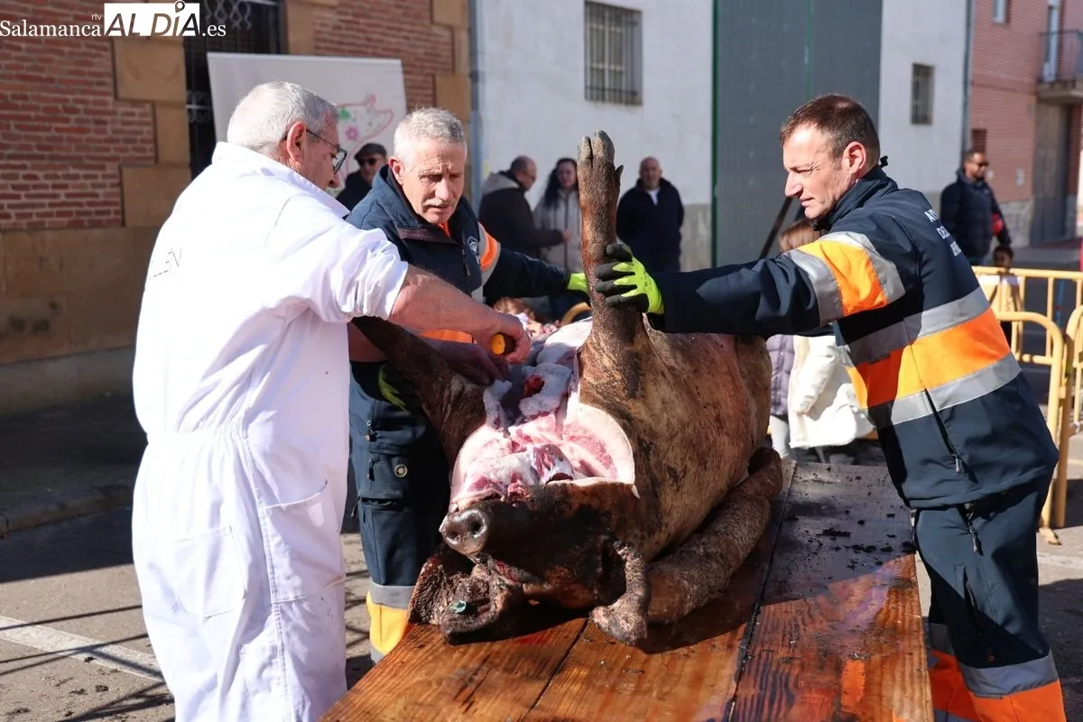 Castellanos de Moriscos celebra la Matanza Tradicional | FOTOS: David Sañudo 