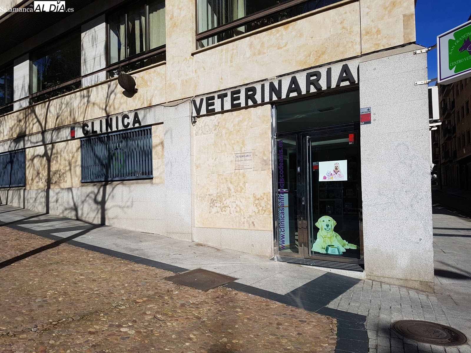 Cierre de los centros veterinarios en Salamanca como protesta ante la nueva ley