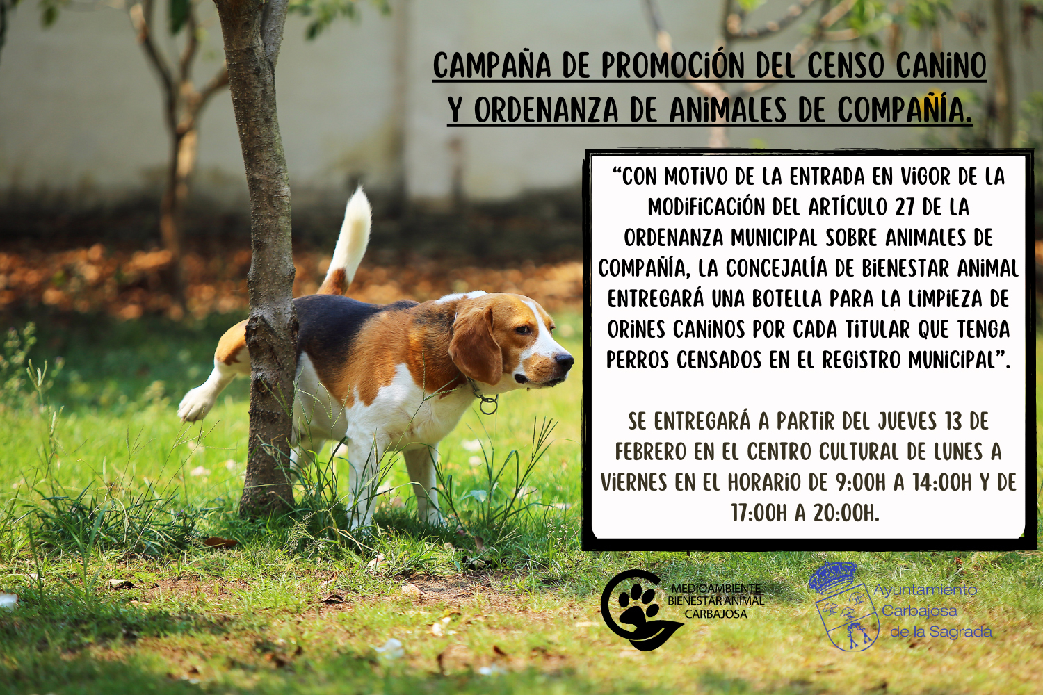 Carbajosa de la Sagrada impulsa la responsabilidad canina con una nueva campaña de conciencióm