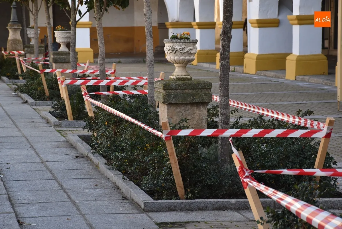 Foto 3 - Protegidos los alcorques de Plazuela del Buen Alcalde para evitar su destrozo