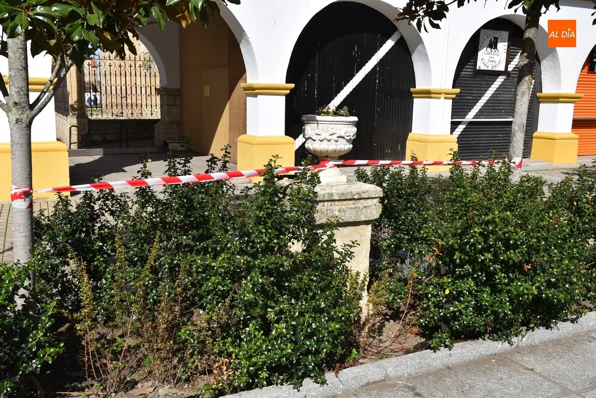 Foto 2 - Protegidos los alcorques de Plazuela del Buen Alcalde para evitar su destrozo