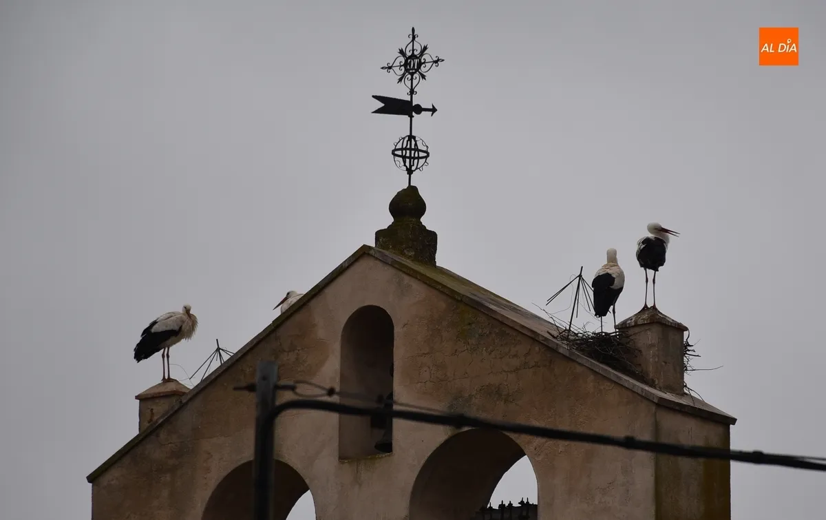 Foto 4 - 1Foto: Su gran d&iacute;a