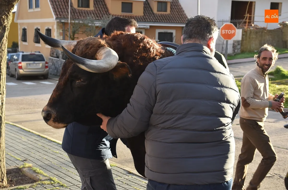 Foto 9 - Entregada a sus ganadores la cabeza naturalizada del Toro del Antruejo 2024