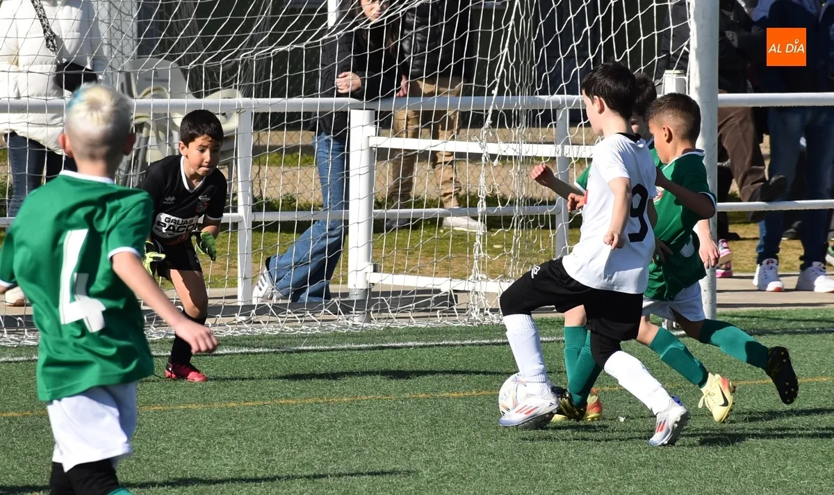 Foto 10 - #M [7-9 FEB] El Ciudad Rodrigo saca dos victorias en su triple choque ante Villares de la Reina