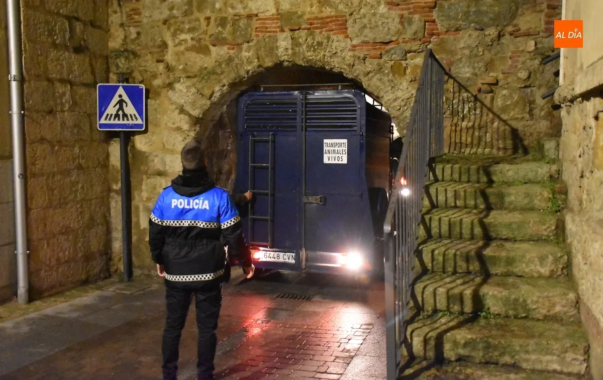 Foto 5 - El caballo del preg&oacute;n se salva por los pelos de quedar encajado en la b&oacute;veda de la Puerta del Sol