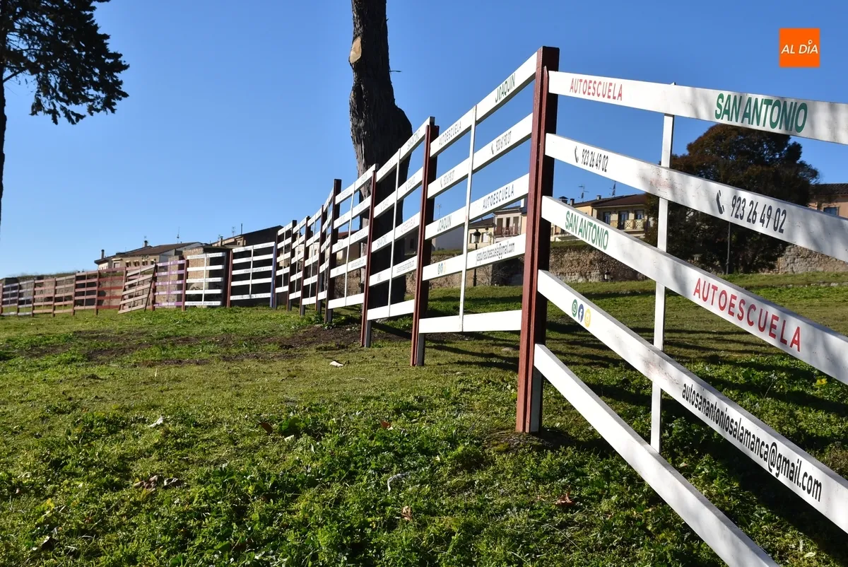 Foto 3 - Retomada la colocaci&oacute;n de agujas para los encierros urbanos del Carnaval