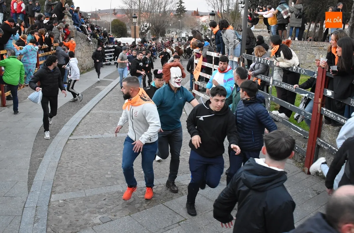 Foto 2 - Momentos de tensi&oacute;n en el encierro de mansos por la masiva afluencia de corredores