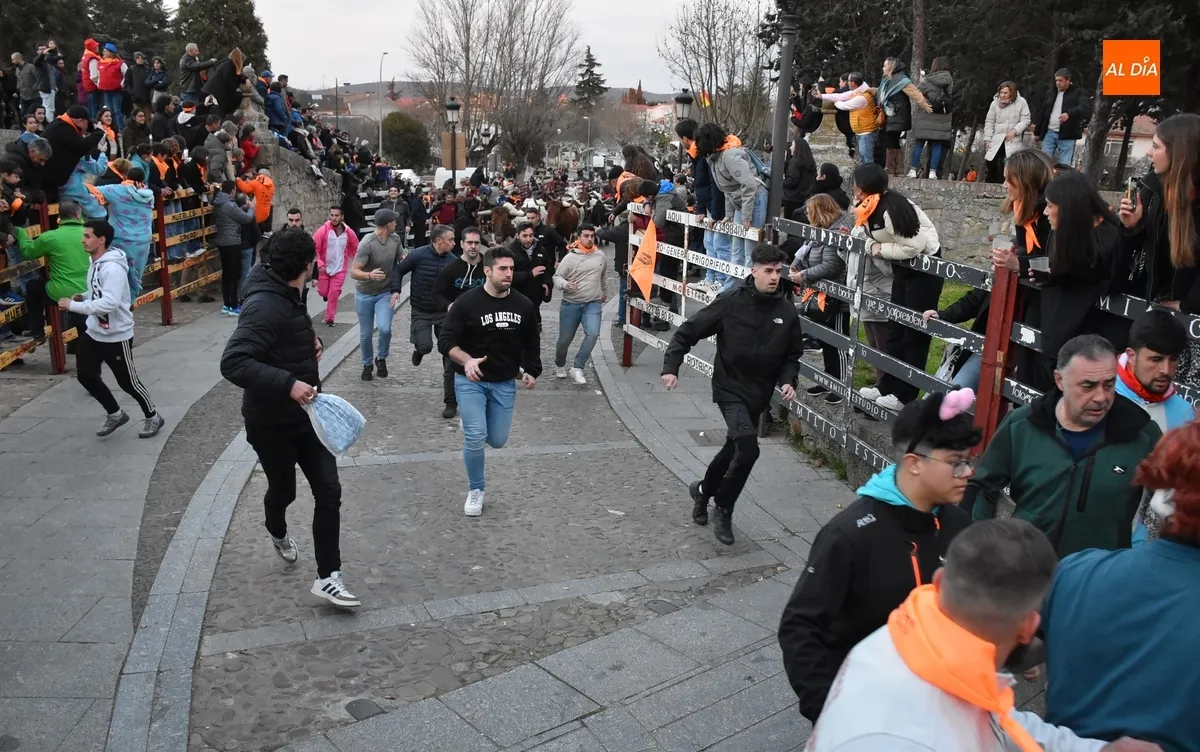 Foto 3 - Momentos de tensi&oacute;n en el encierro de mansos por la masiva afluencia de corredores
