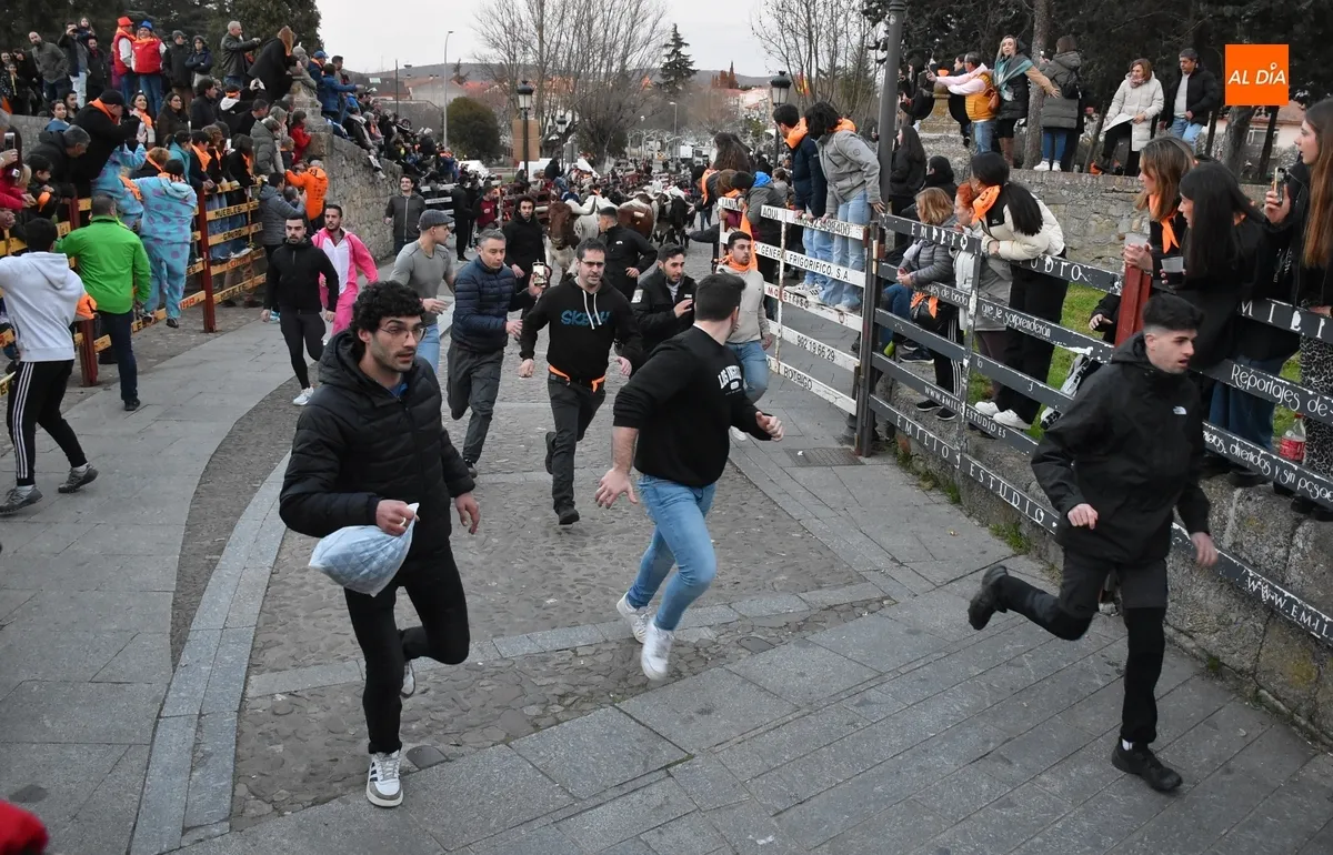 Foto 4 - Momentos de tensi&oacute;n en el encierro de mansos por la masiva afluencia de corredores
