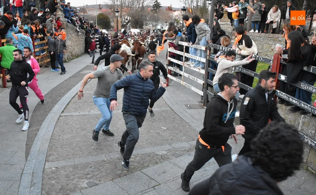 Foto 5 - Momentos de tensi&oacute;n en el encierro de mansos por la masiva afluencia de corredores