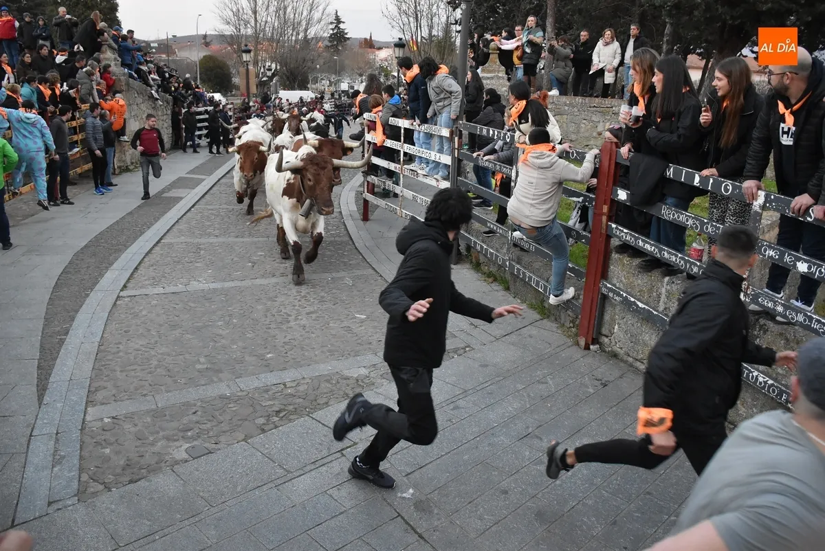 Foto 6 - Momentos de tensi&oacute;n en el encierro de mansos por la masiva afluencia de corredores