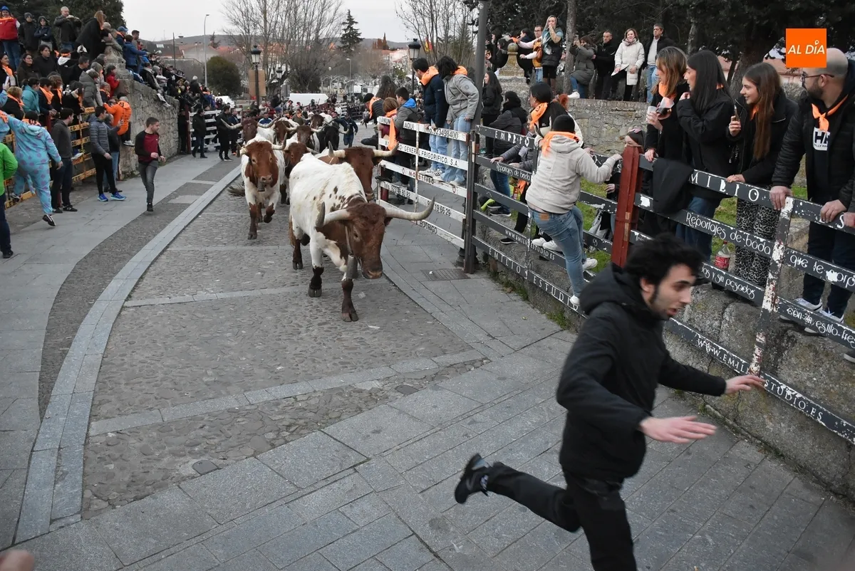 Foto 7 - Momentos de tensi&oacute;n en el encierro de mansos por la masiva afluencia de corredores