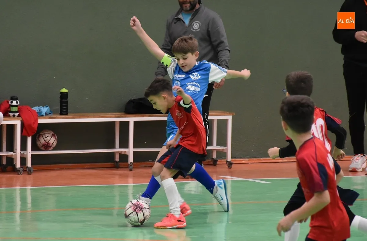 Foto 4 - #M [15-16 FEB] C&oacute;modas victorias del III Benjam&iacute;n C y del III Infantil B en los Juegos Escolares