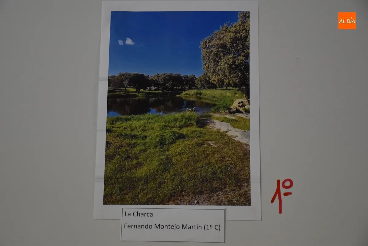 Foto 4 - Entregados los premios del Certamen Fotogr&aacute;fico Medioambiental del IES Tierra