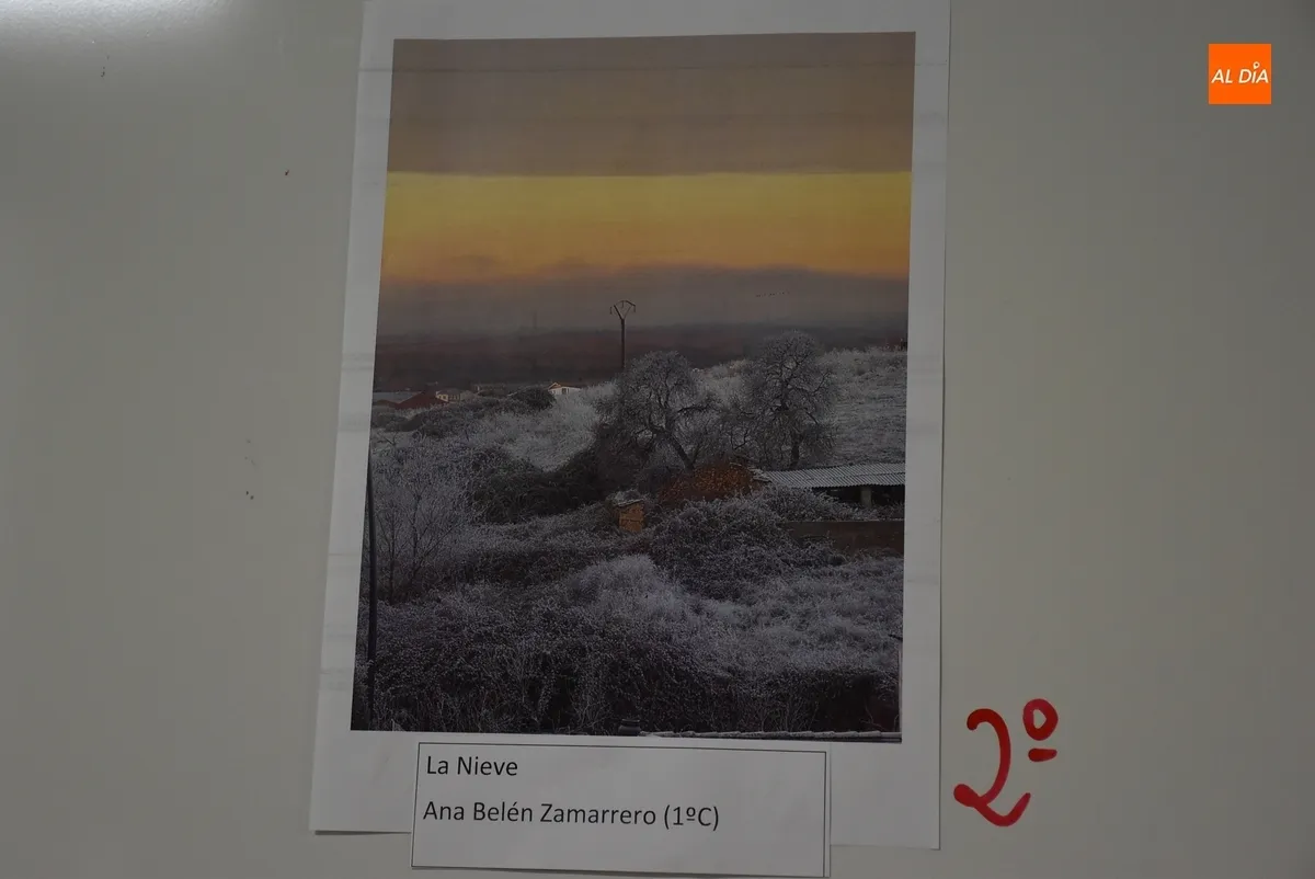Foto 5 - Entregados los premios del Certamen Fotogr&aacute;fico Medioambiental del IES Tierra