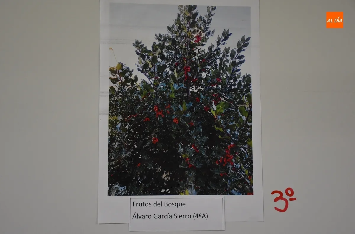 Foto 6 - Entregados los premios del Certamen Fotogr&aacute;fico Medioambiental del IES Tierra